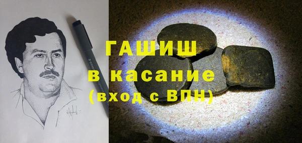 шишки Абаза