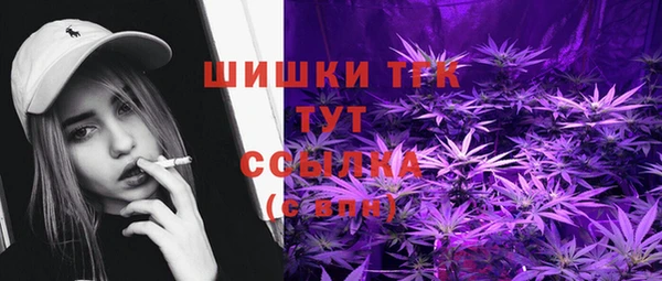 шишки Абаза
