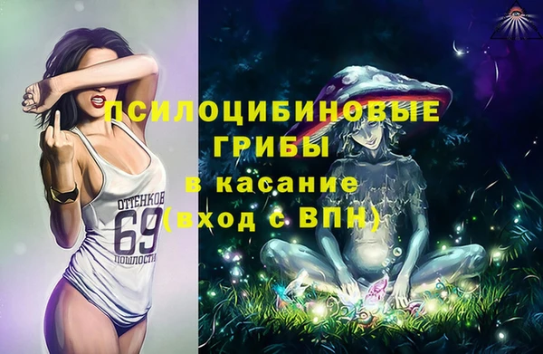 мдпв Алзамай