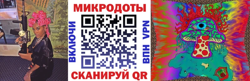 Галлюциногенные грибы Psilocybine cubensis  shop какой сайт  Нюрба  цены наркотик 